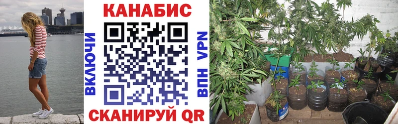 Купить наркотики Вытегра Alpha PVP Cocaine Меф мяу мяу Марихуана Гашиш