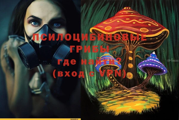 бутират Белокуриха
