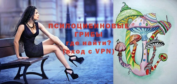 бутират Белокуриха