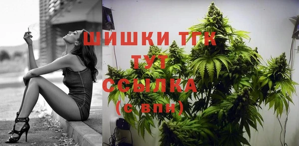бутират Белокуриха