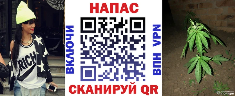 Бошки марихуана марихуана  Вытегра 